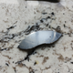 Illustration for article titled Can You Help Identify These Parts From A Tesla Model X Hit-And-Run?
